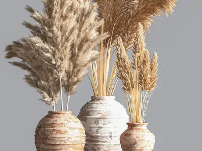 IndoorPlantSet10 dried grasses in vases 3D model