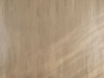 Wood material v01 Texture