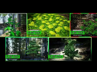 MEGA PLANT PACK - 10 Korea Endemic Species 02 Pack Low-poly 3D model