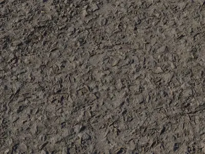 Forest Trail Dirt With Pebbles PBR Texture  Texture