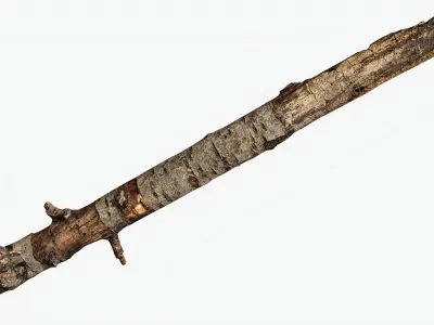  Scanned Sprigs Collection StemCell 