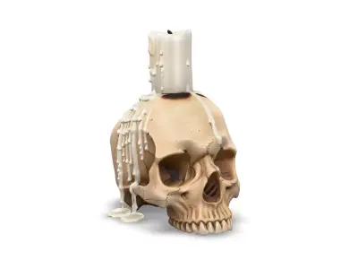 Skull with a Melting Candle Free low-poly 3D model