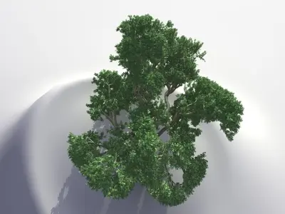 BIG TREE 3D model