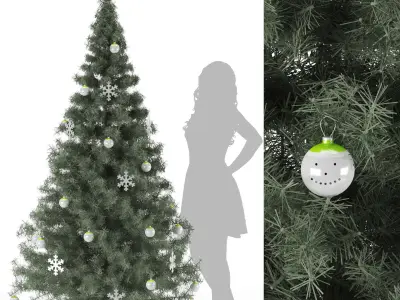 Conifer Species high quality 3D Model Pack