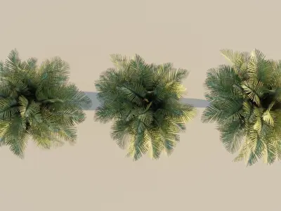 low poly palm trees for forest or exterior  Low-poly 3D model