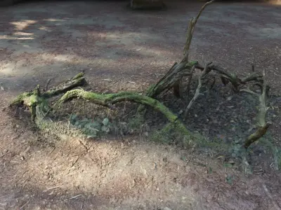 Forest Tree Root E 3D model