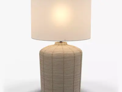 Pottery Barn Cambria Rattan Table Lamp 3D model