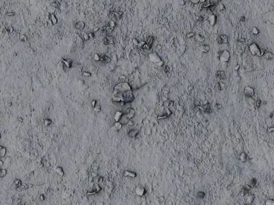 Dry Leafy Dirt Ground PBR Texture