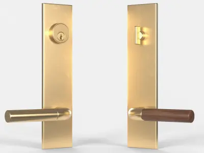 Tumalo Handle - Brass with Walnut Lever Exterior Door Hardware 3D model