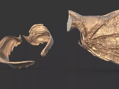 Arch Angel And Arch Dragon wings  3D print model