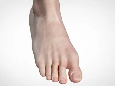  Feet Realistic 