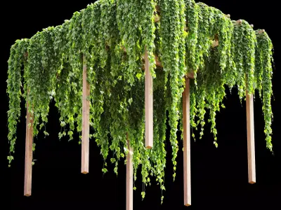 Pergola with grape leaves 3D model