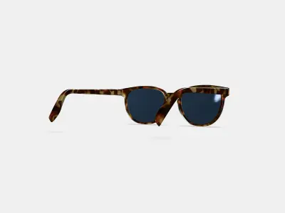 Sydney Sunglasses in Brioche Tortoise 3D model