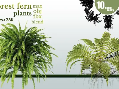 10 forest fern plants VOL 07 Low-poly 3D model