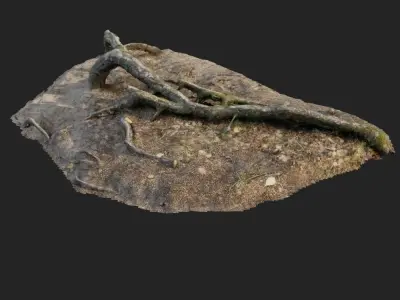 nature forest roots 001 3D model