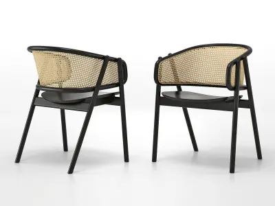 Cane Armchair 3D model