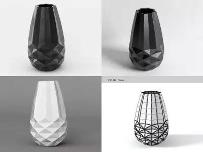 Facet Vases 3D model