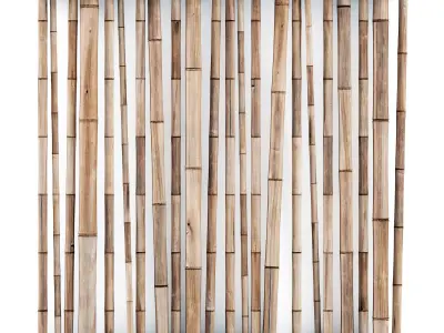 Bamboo decor wall cafe 3D model