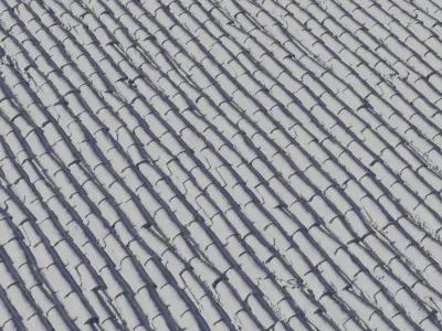 Tuscan Barrel Tile Roof Texture