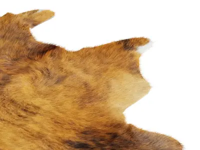 Animal skin rug 08 3D model