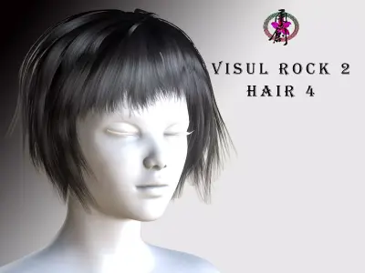 Visual Rock 2 - Hair04 Low-poly 3D model