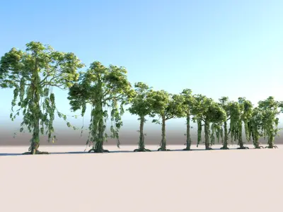  Animated Jungle Tree Pack 10 