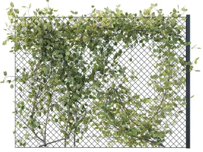 Ivy on Fence 02 3D model