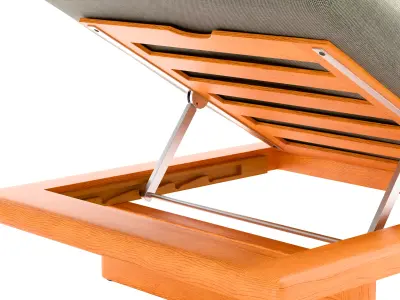 Adjustable Wooden Sun Lounger with Cushion 3D model