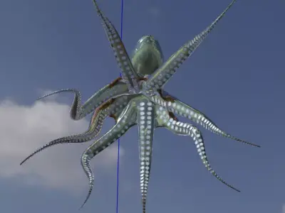 Realistic 3D octopus 3D model