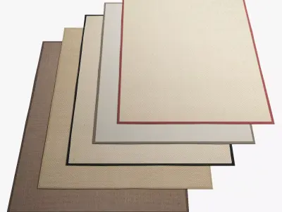 Sisal Area Rugs 20 3D model