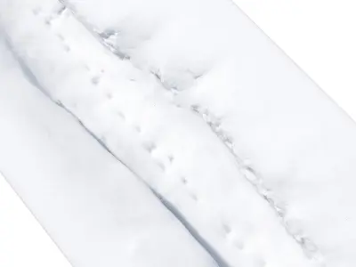 Snowdrift Trail 3D model