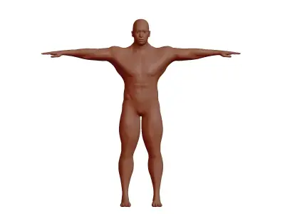 Male 3d model 3D model