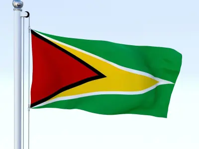Animated Guyana Flag Low-poly 3D model
