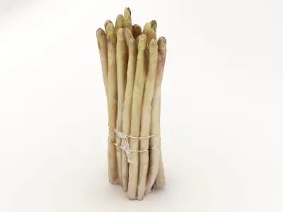 Asparagus Bunch White 3D model