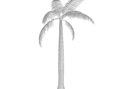 Royal Palm 3D model