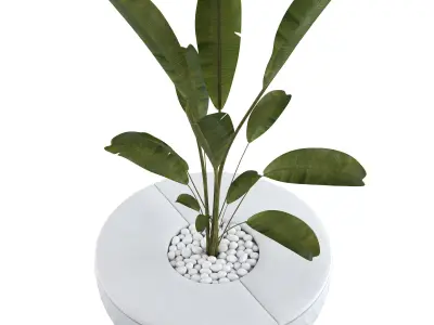 Vondom Vases Island with plant 3D model