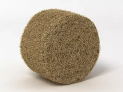 Hay Bale 2 3D model