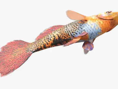  Rigged Freshwater Fish Collection 2 