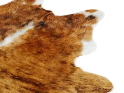 Animal skin rug 09 3D model