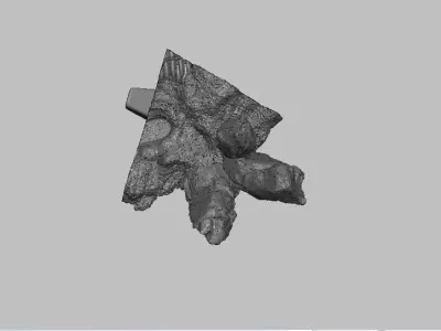 Base 2 skull 3D print model