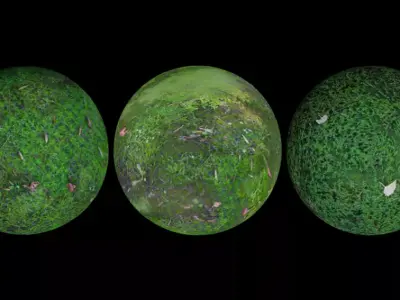 3 Surface of Moss set 3D model