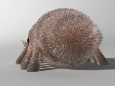 Cartoon Spider Rigged Low-poly 3D model