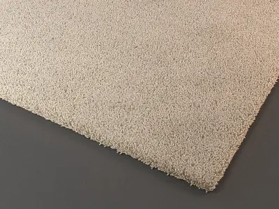 Decorative Rugs 3D model