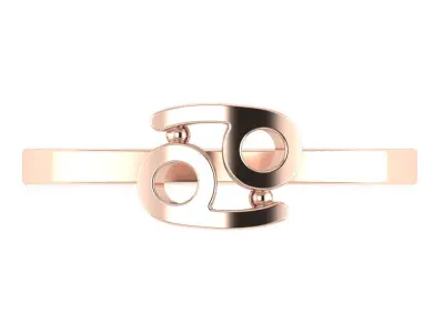 12 rings in the form of zodiac signs 3D print model