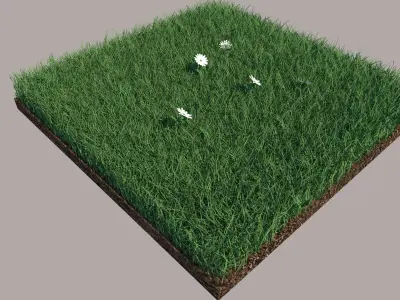 Grass field with golf balls 3D model