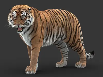  Tiger (5) (ANIMATED) (FUR) 