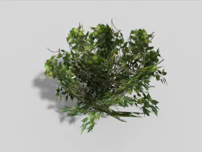 Shrub bush Low-poly 3D model
