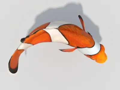  Clownfish (Animated) 