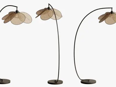 Afralia Rattan Bulb Floor Lamp 3D model