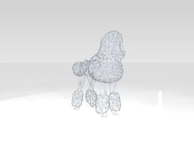 Poodle Wireframe 3D model